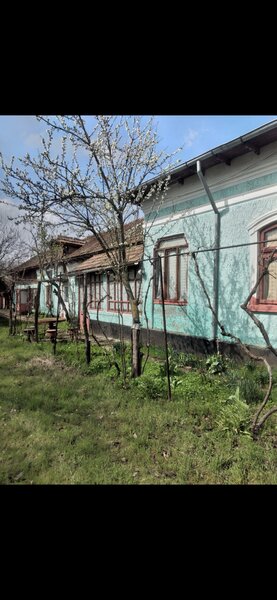 Storobaneasa, sat Beiu, Teleorman 100 km Bucuresti / 15 km Alexandria